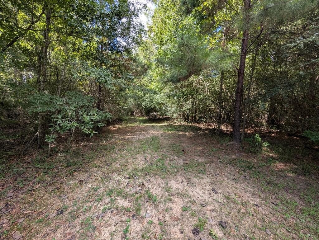 5.31 acres in Texas County - photo 5