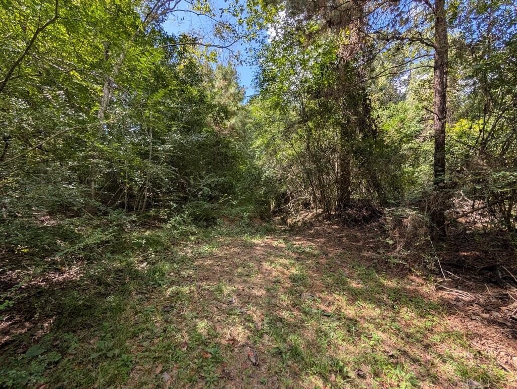 5.31 acres in Texas County - photo 4