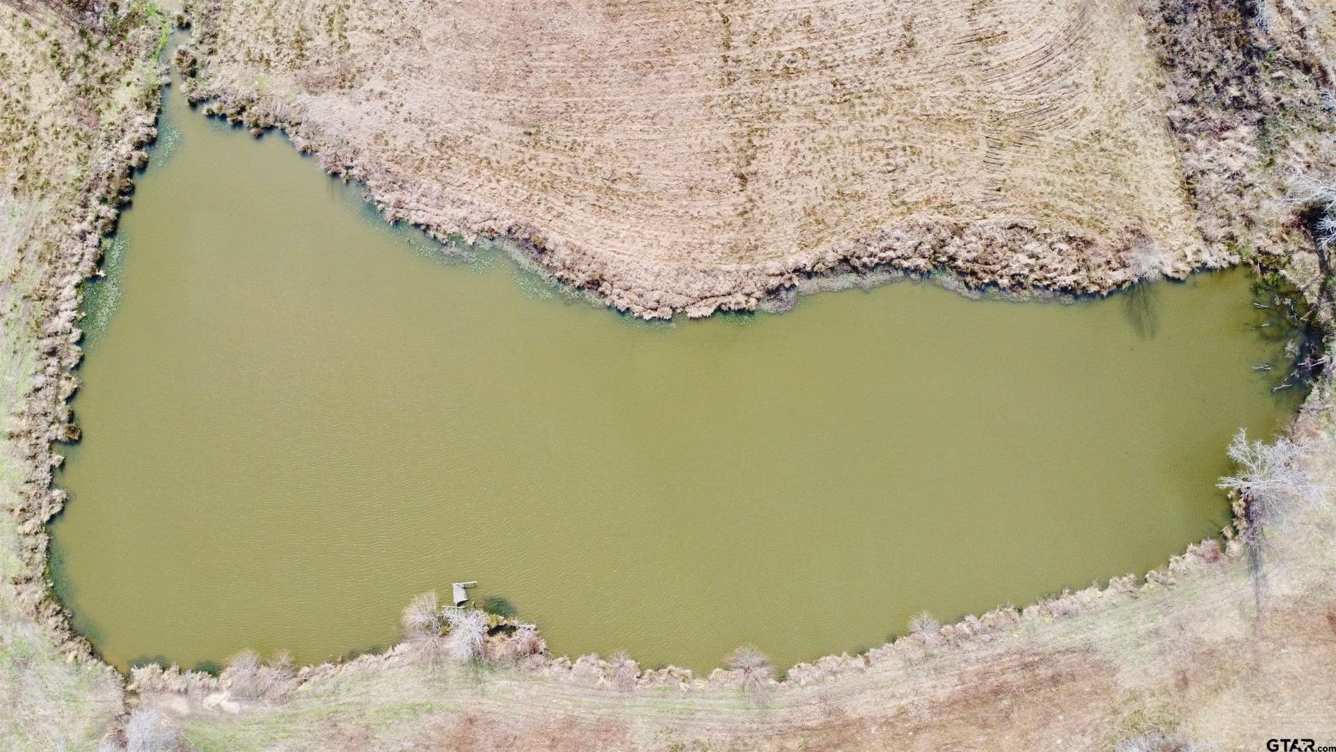 146.33 acres in Cass County gallery image 3