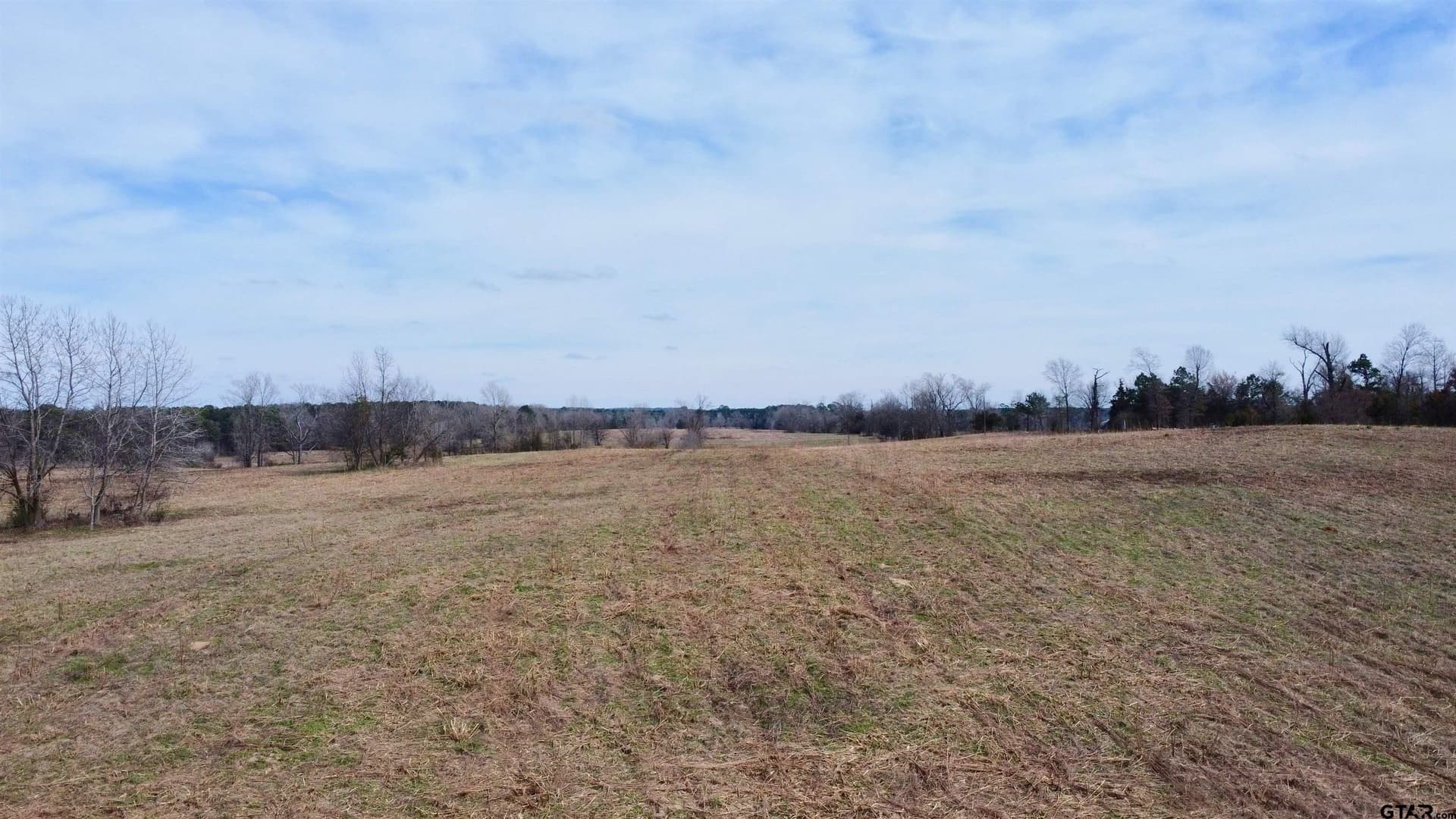146.33 acres in Cass County featured view