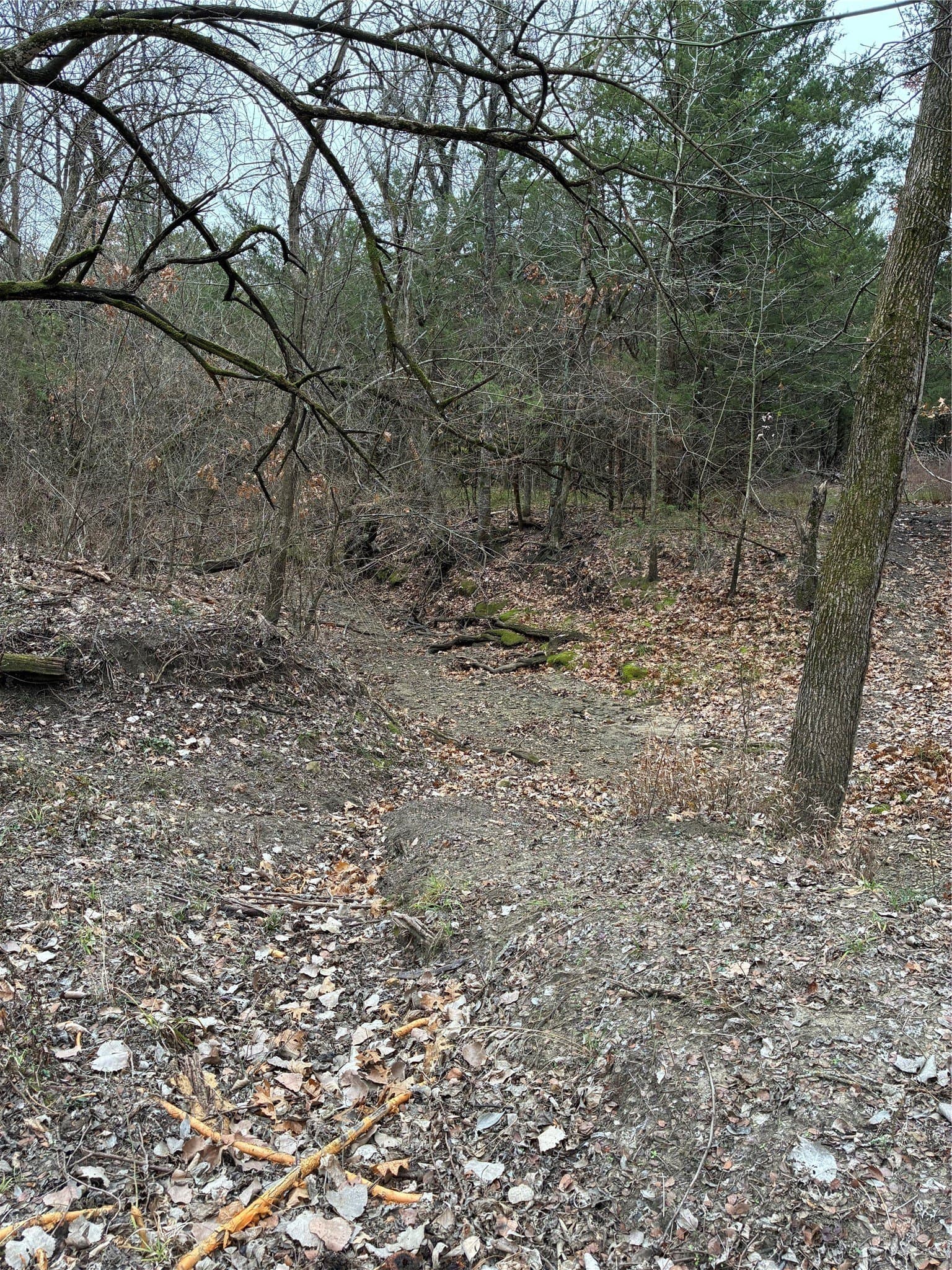 23 acres in Fannin County - photo 14