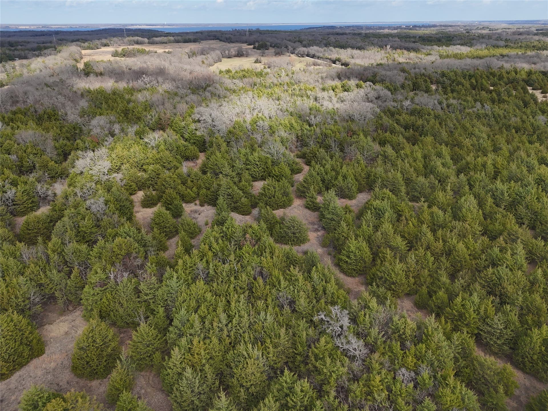 23 acres in Fannin County - photo 12