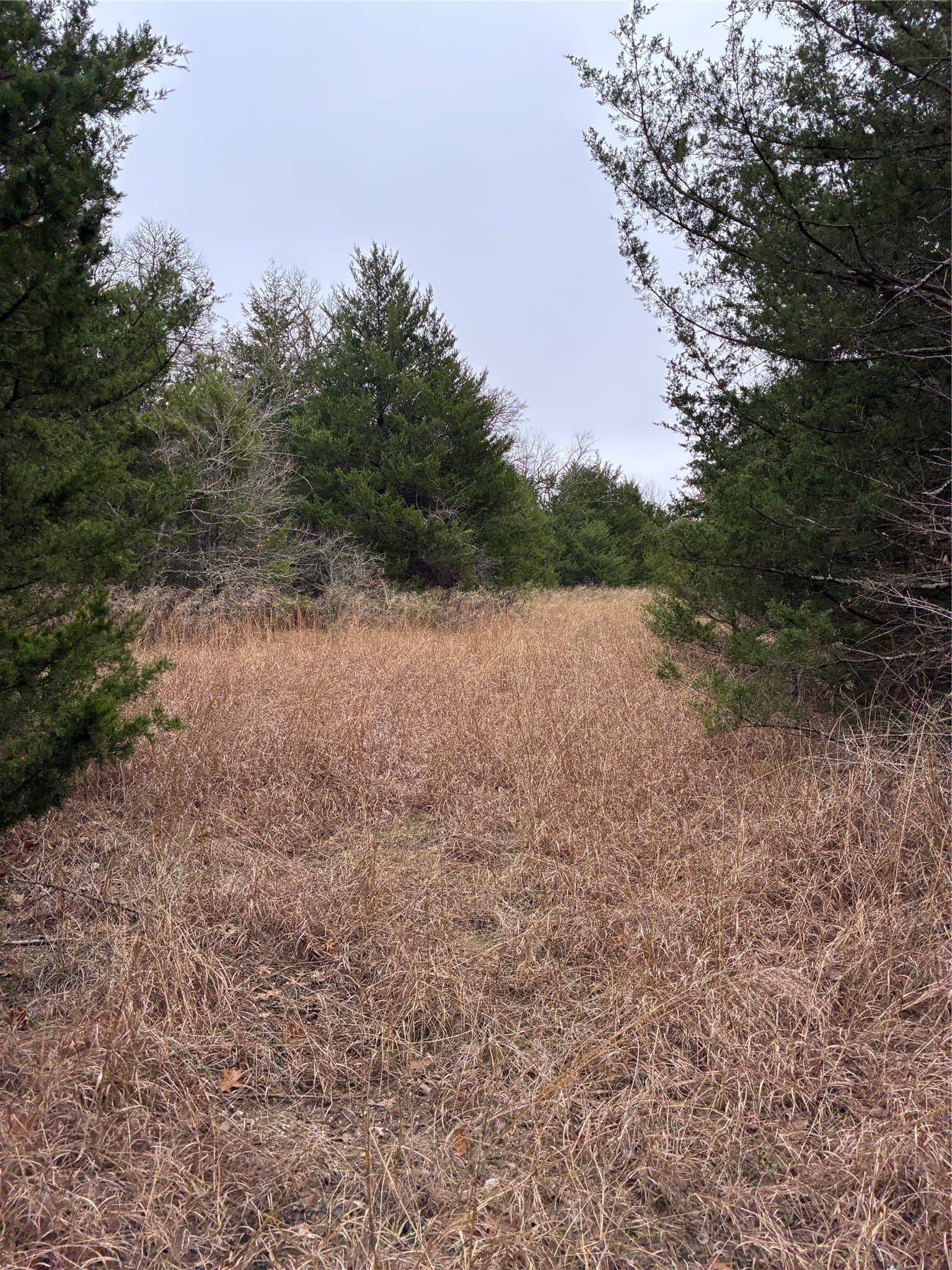 23 acres in Fannin County - photo 7