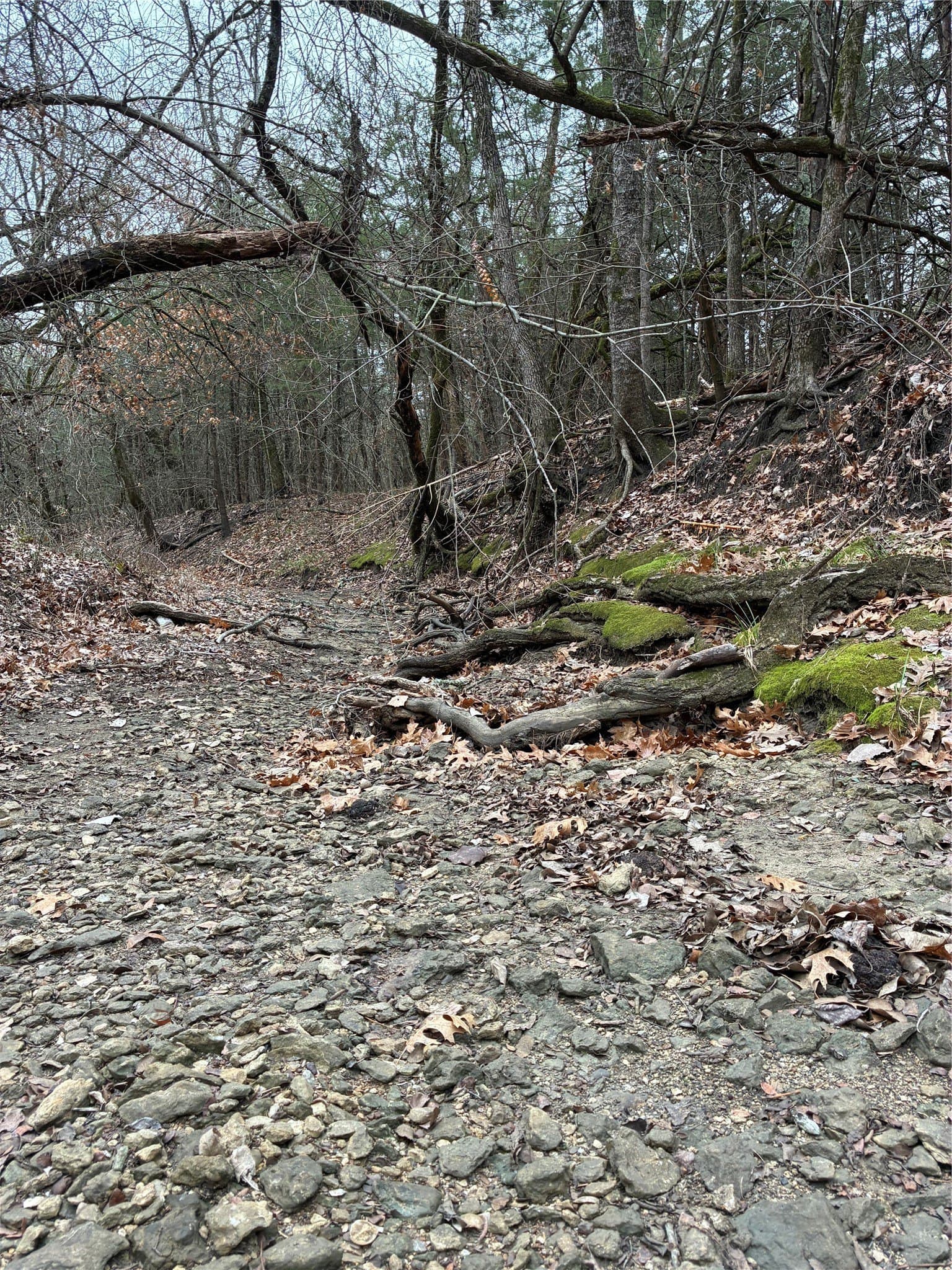 23 acres in Fannin County - photo 5