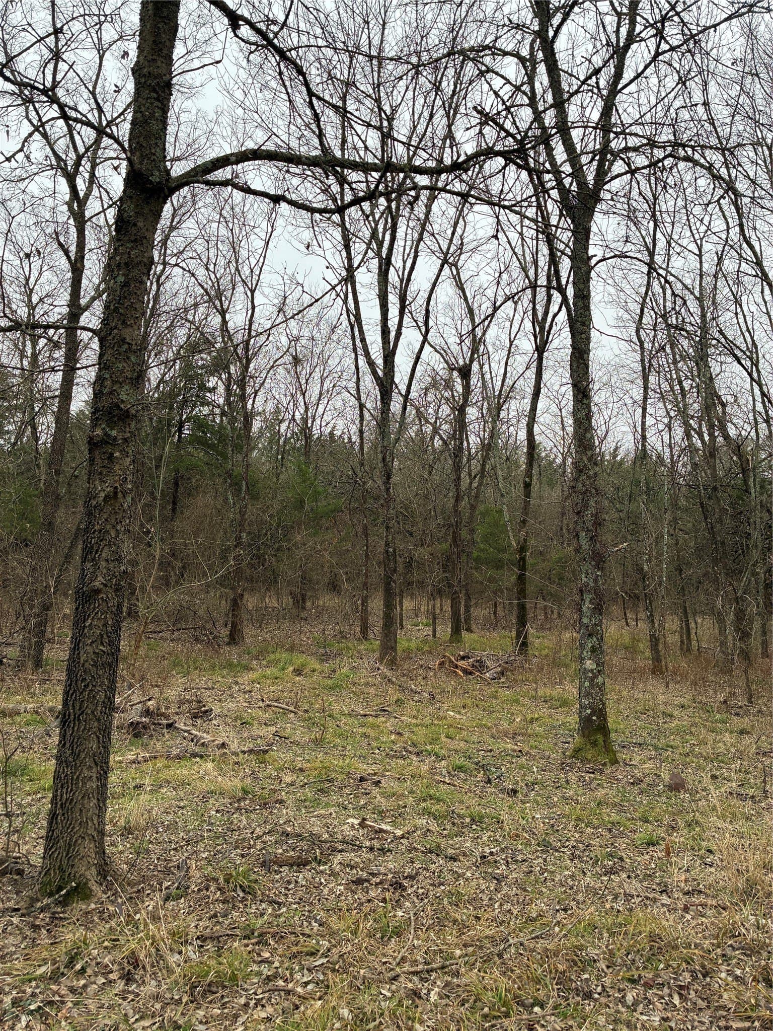 23 acres in Fannin County - photo 18