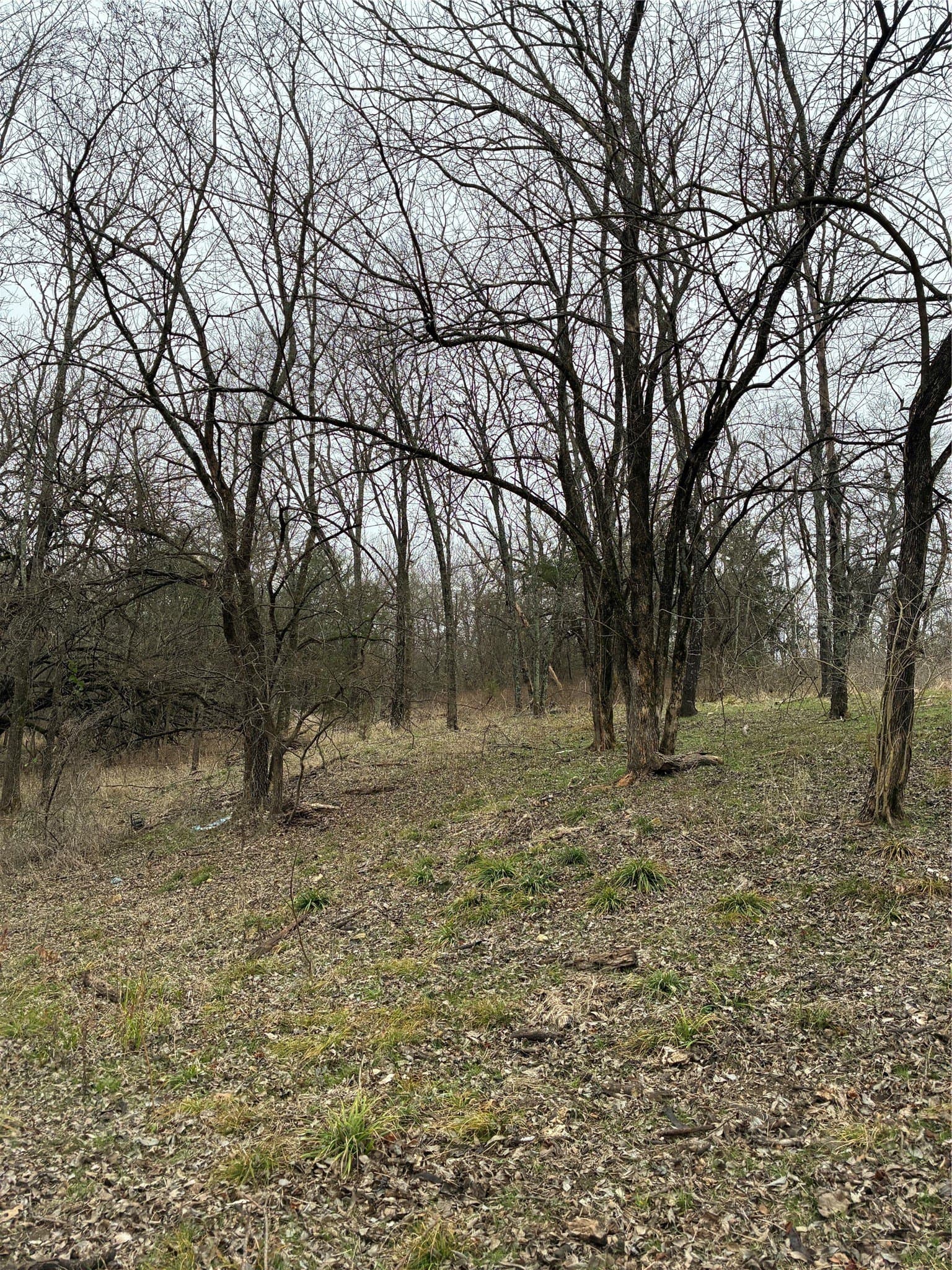 23 acres in Fannin County - photo 17