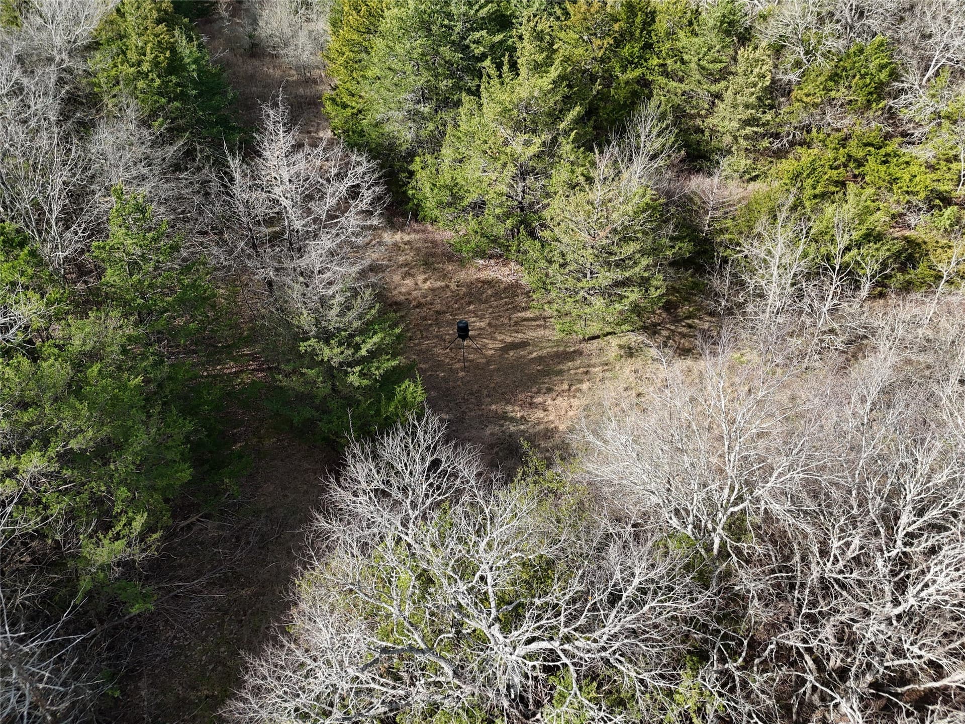 23 acres in Fannin County - photo 16