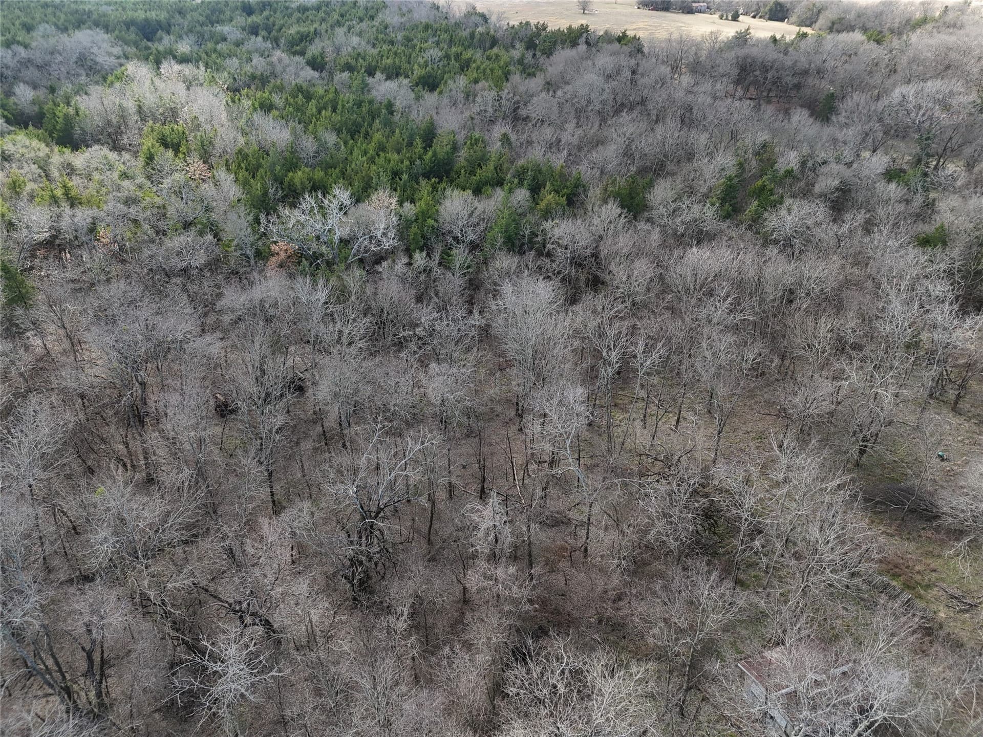23 acres in Fannin County - photo 3