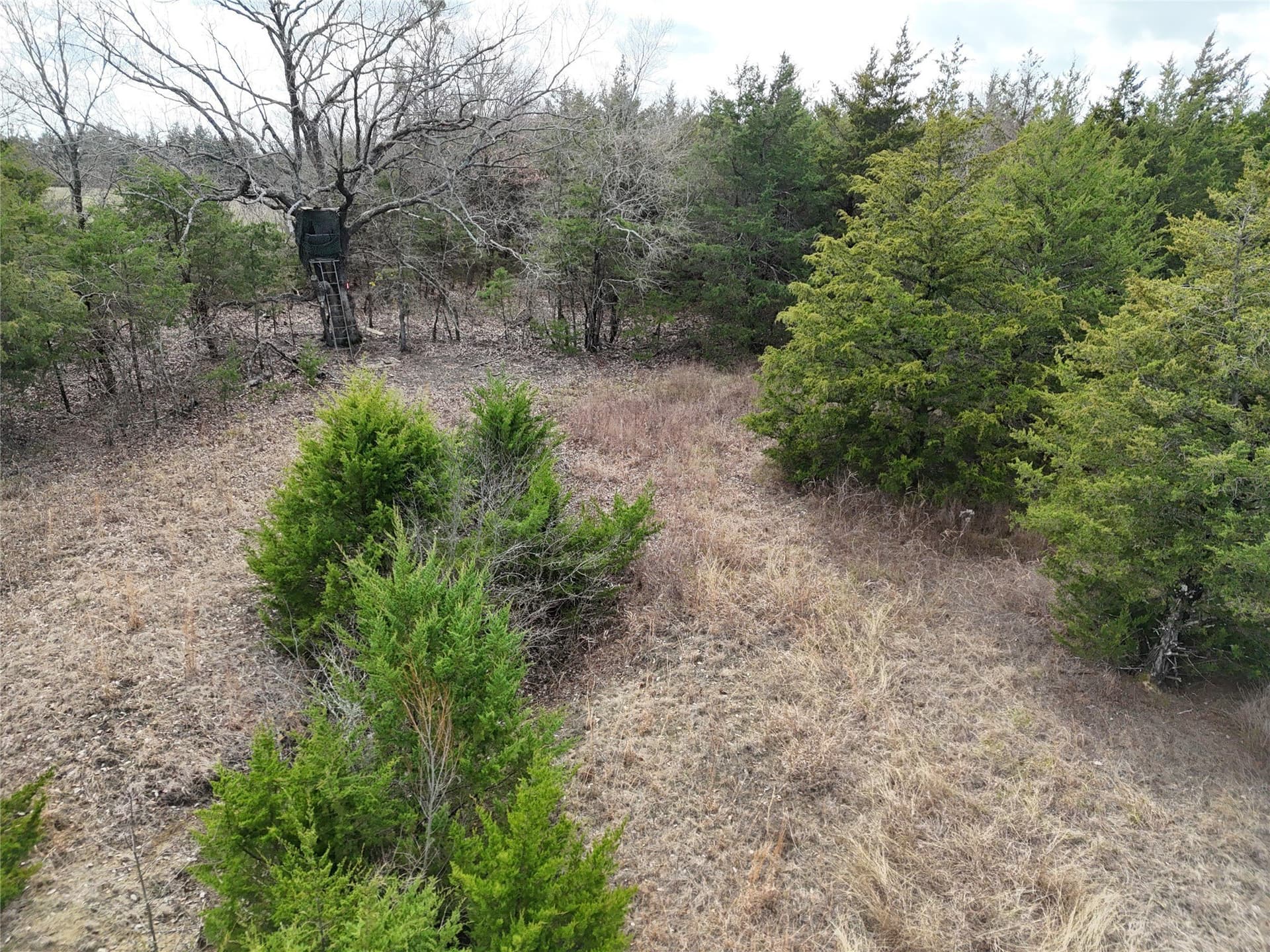 23 acres in Fannin County - photo 19