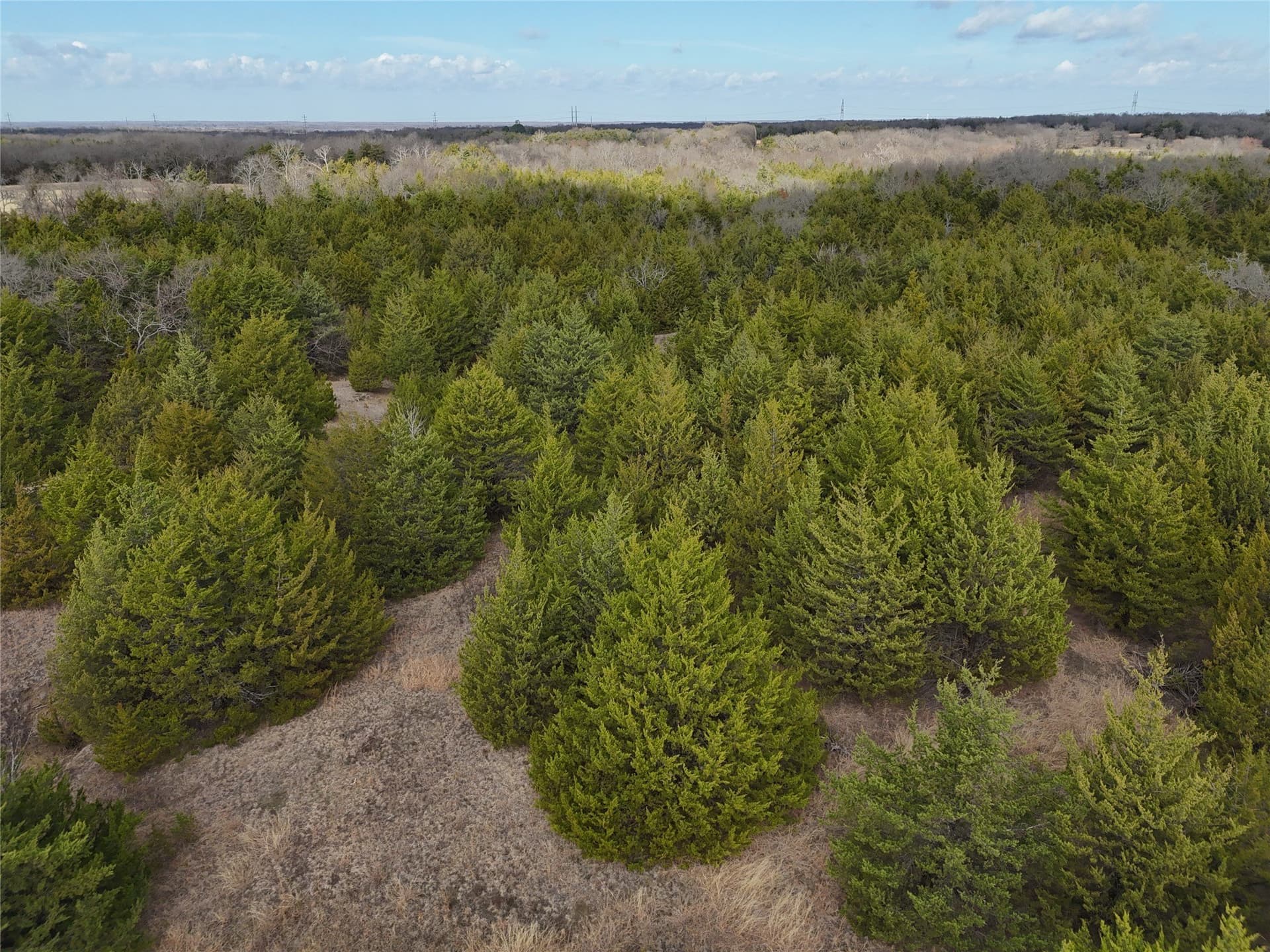 23 acres in Fannin County - photo 20
