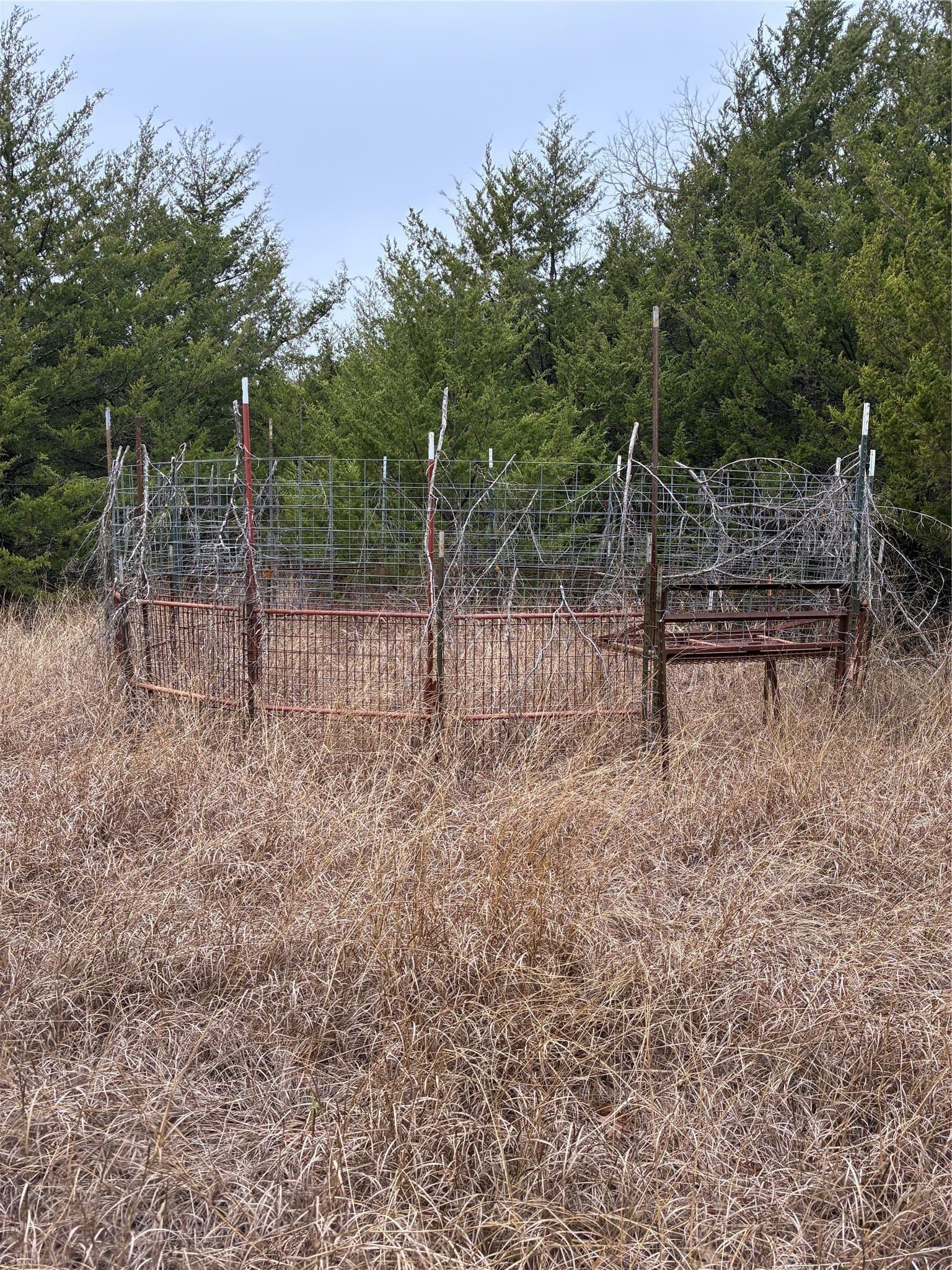 23 acres in Fannin County - photo 9