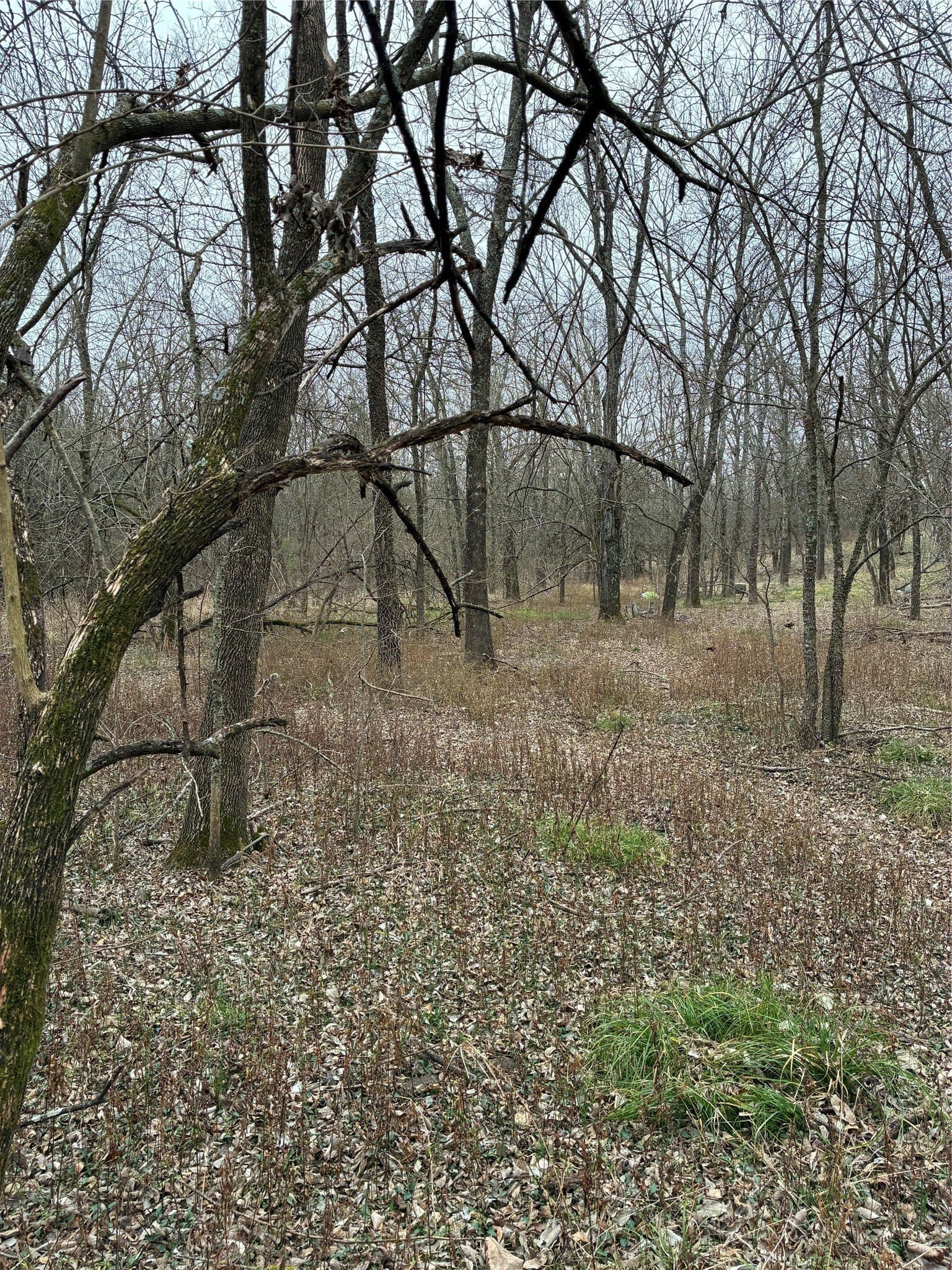23 acres in Fannin County - photo 15