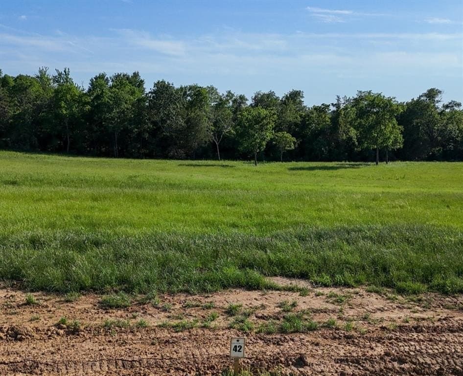 1.02 acres in Fannin County gallery image 2