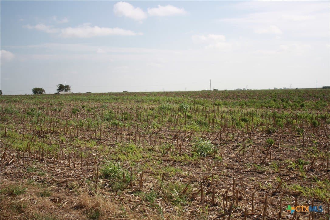 11 acres in Bell County - photo 7
