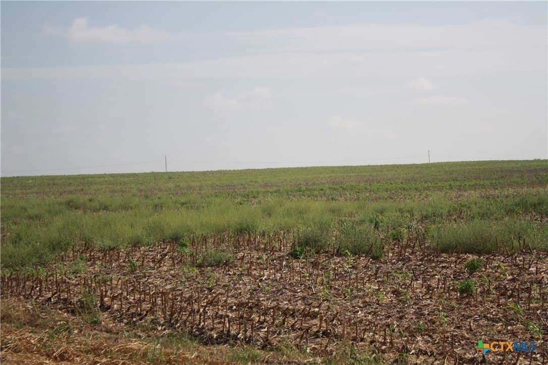 11 acres in Bell County - photo 4