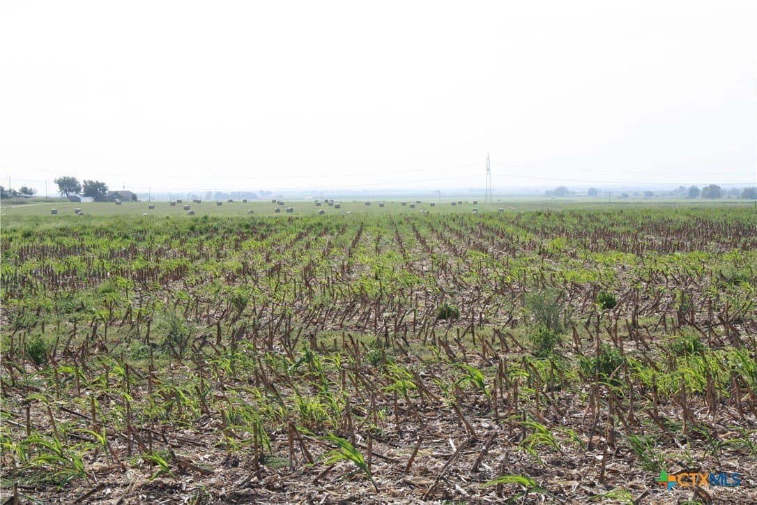 11 acres in Bell County - photo 10