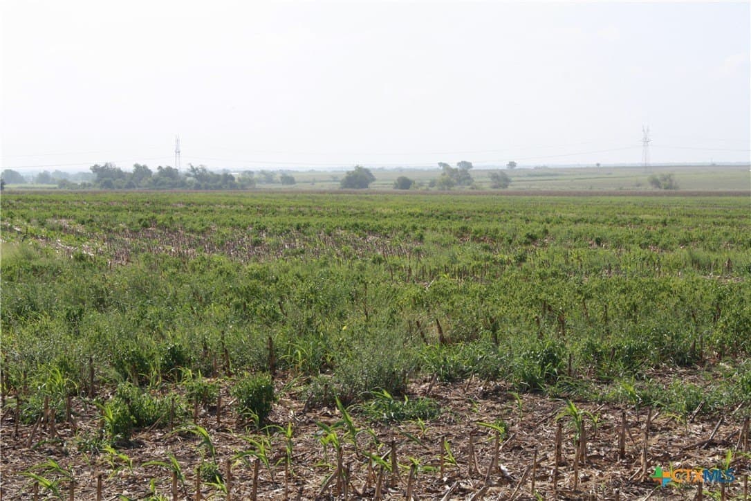 11 acres in Bell County - photo 5