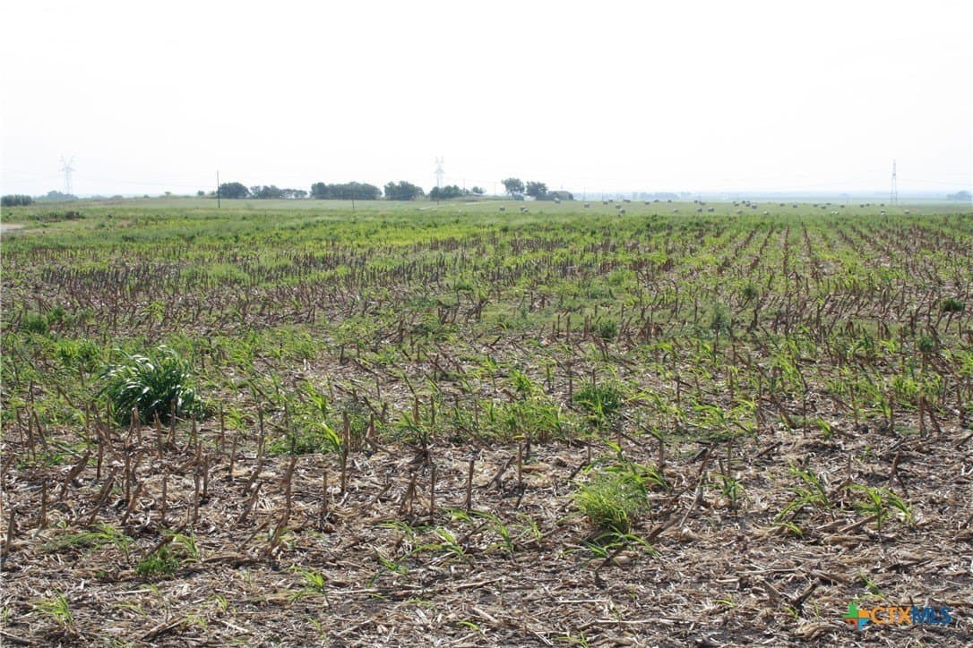 11 acres in Bell County - photo 9