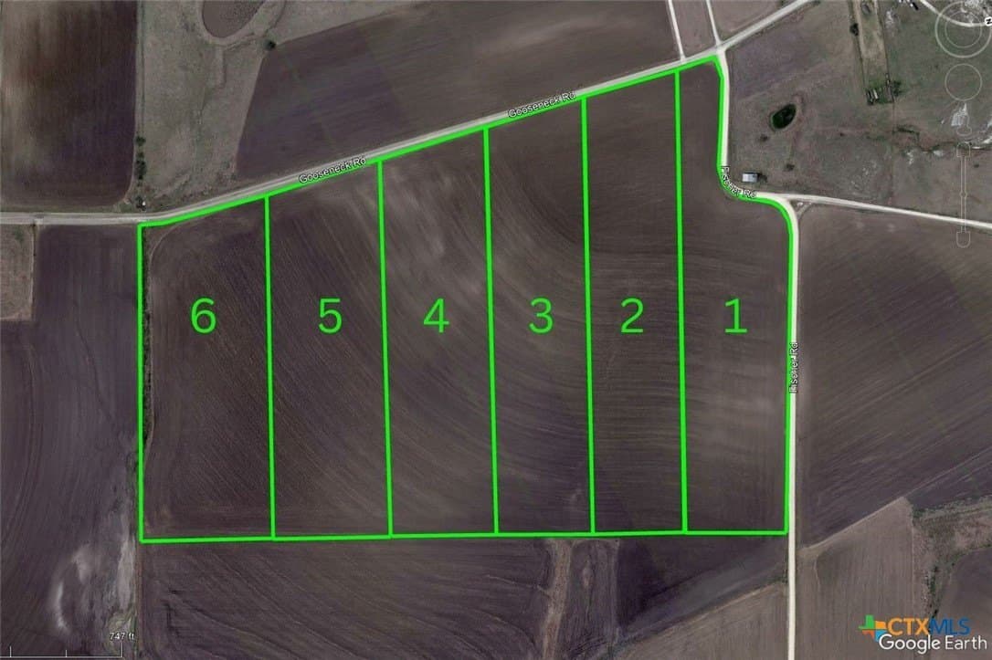 11 acres in Bell County - photo 12