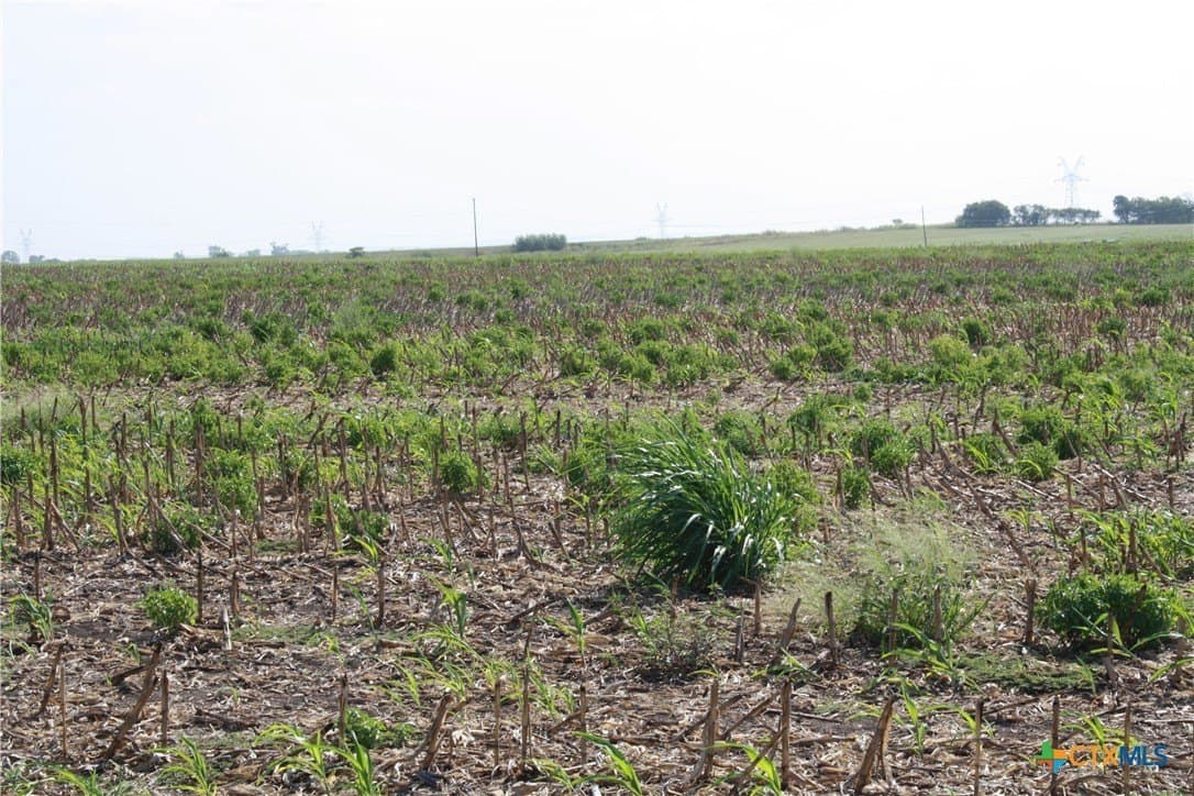11 acres in Bell County - photo 6