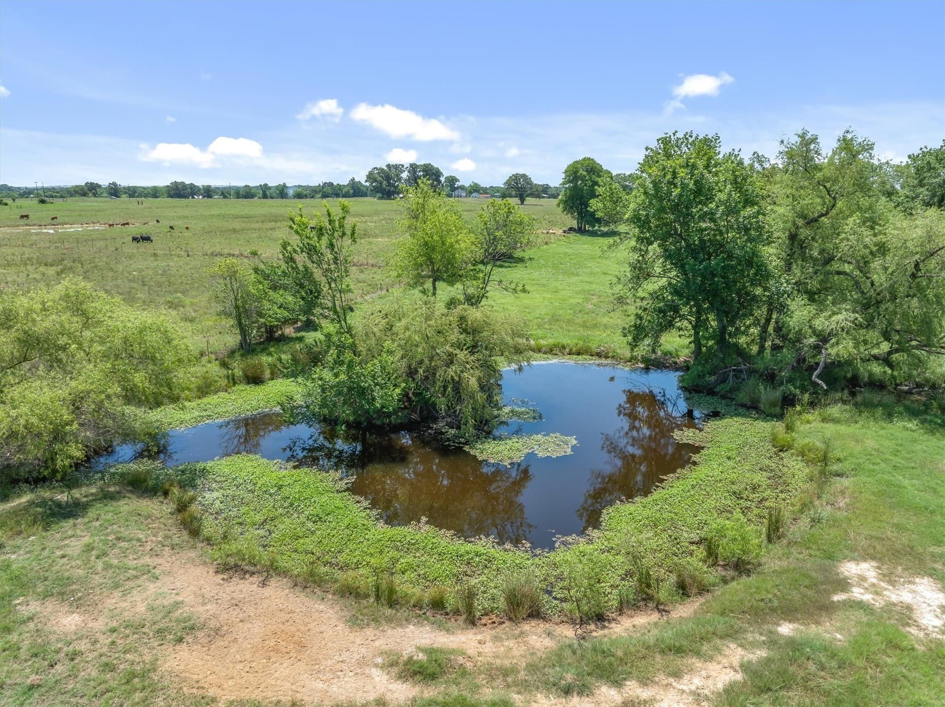 21.34 acres in Van Zandt County - photo 40