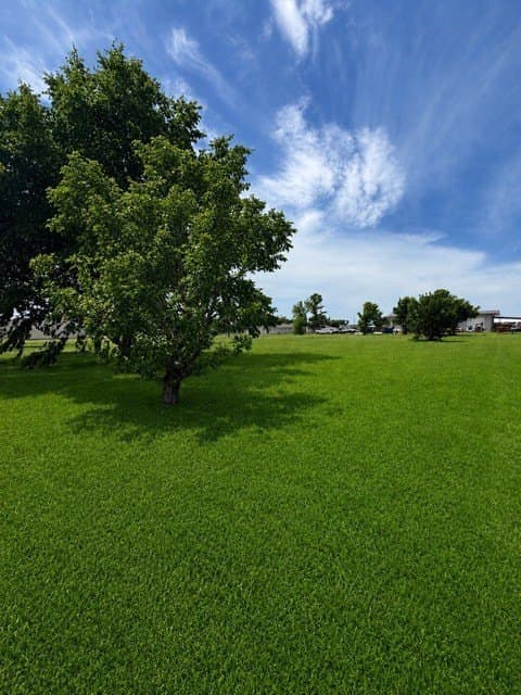 0.81 acres in Kaufman County featured view