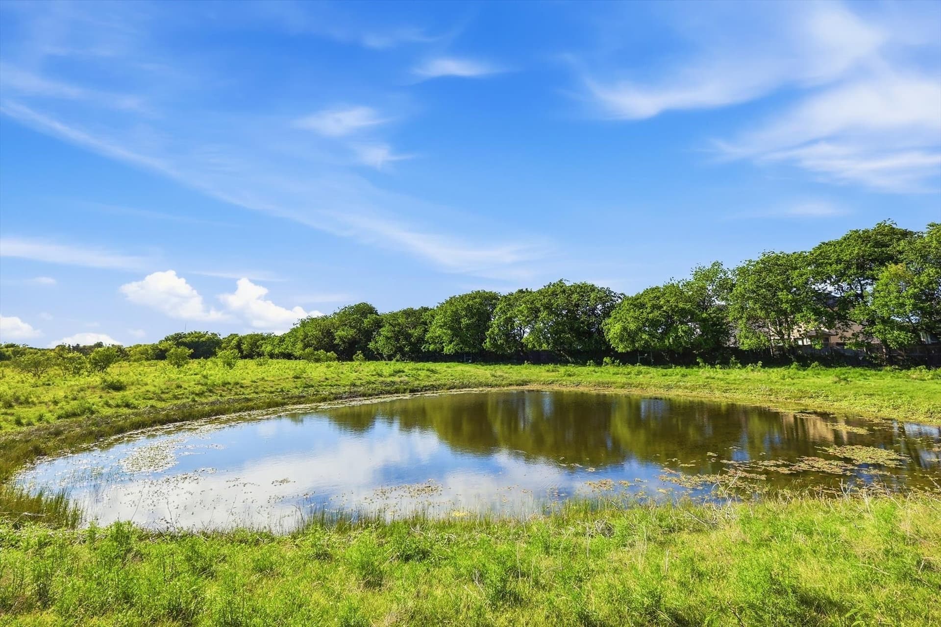 39.39 acres in Tarrant County - photo 12