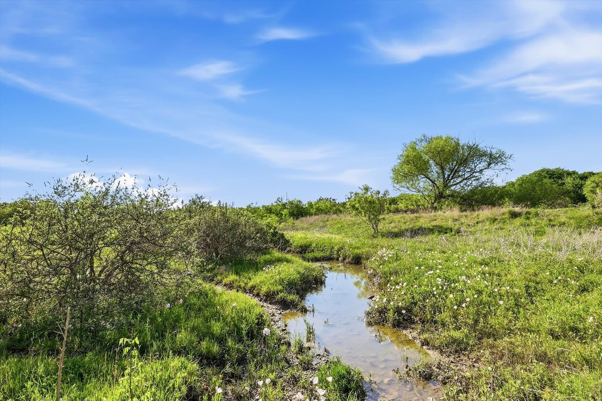 39.39 acres in Tarrant County featured view