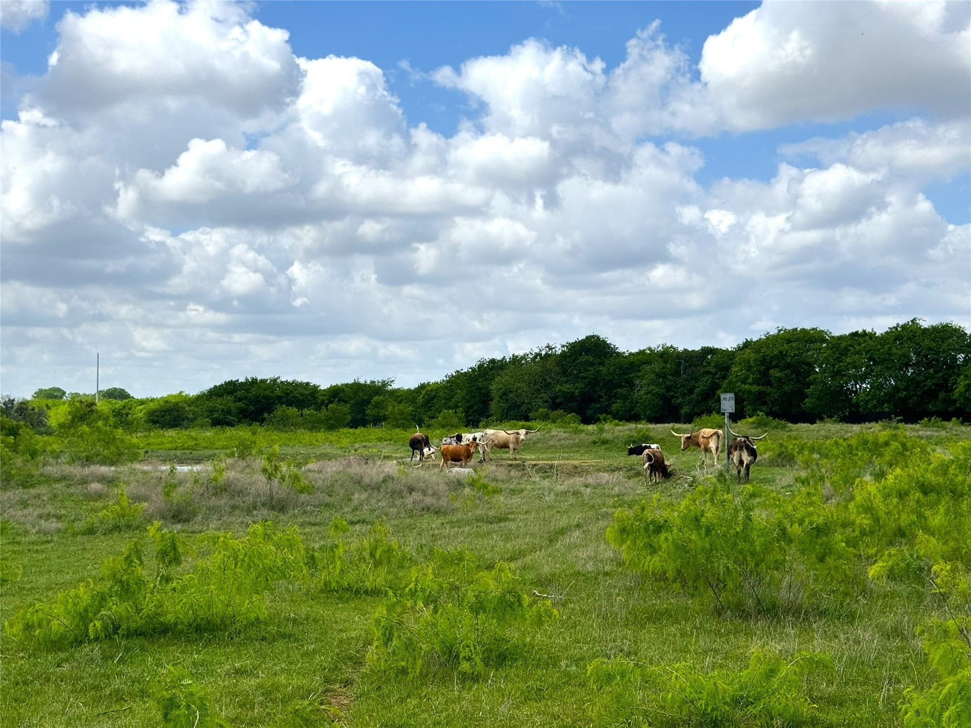 39.39 acres in Tarrant County - photo 22