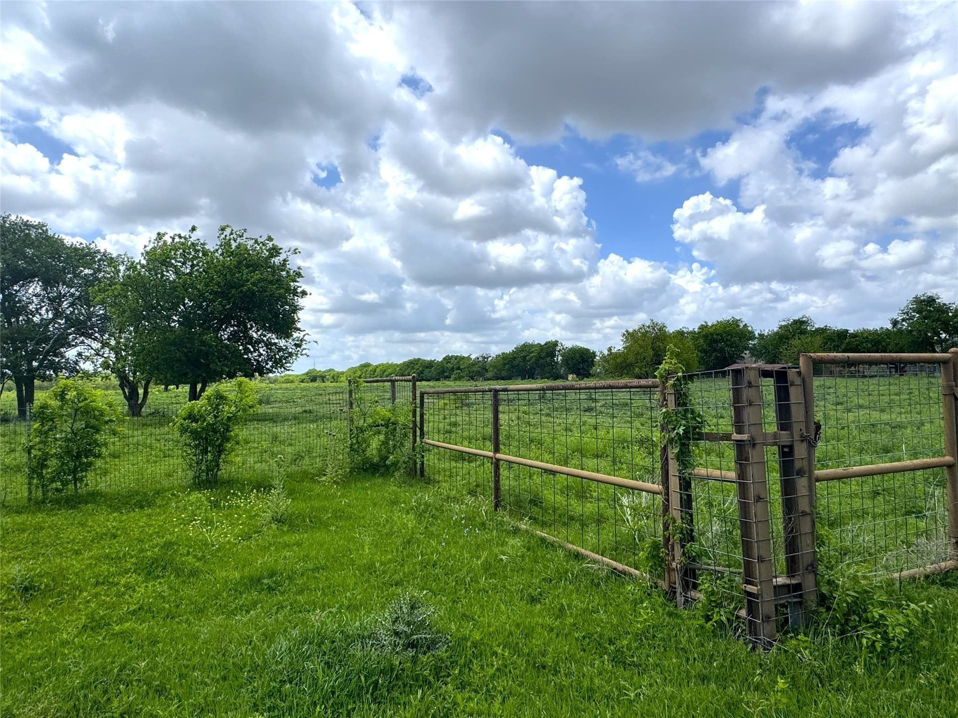 39.39 acres in Tarrant County - photo 23