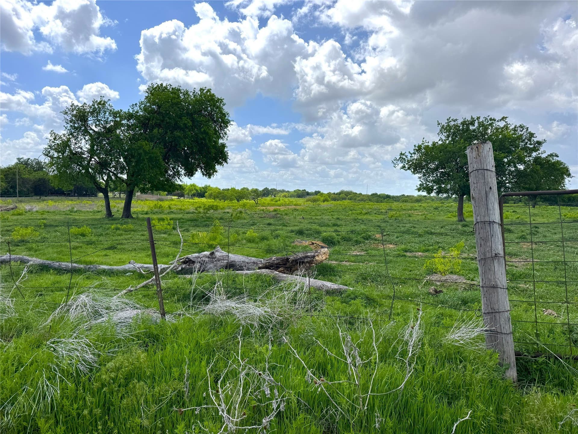 39.39 acres in Tarrant County - photo 26