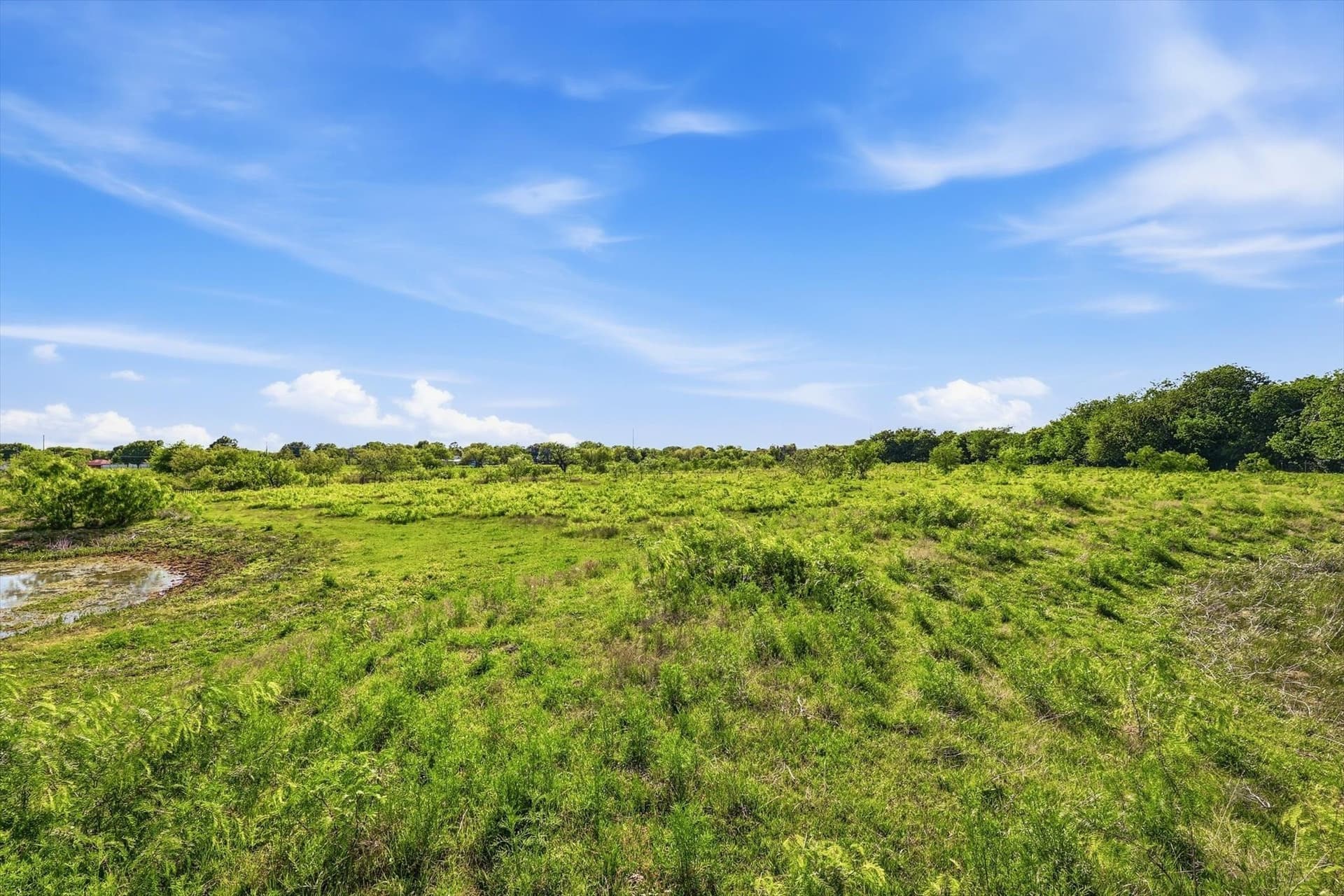 39.39 acres in Tarrant County - photo 15
