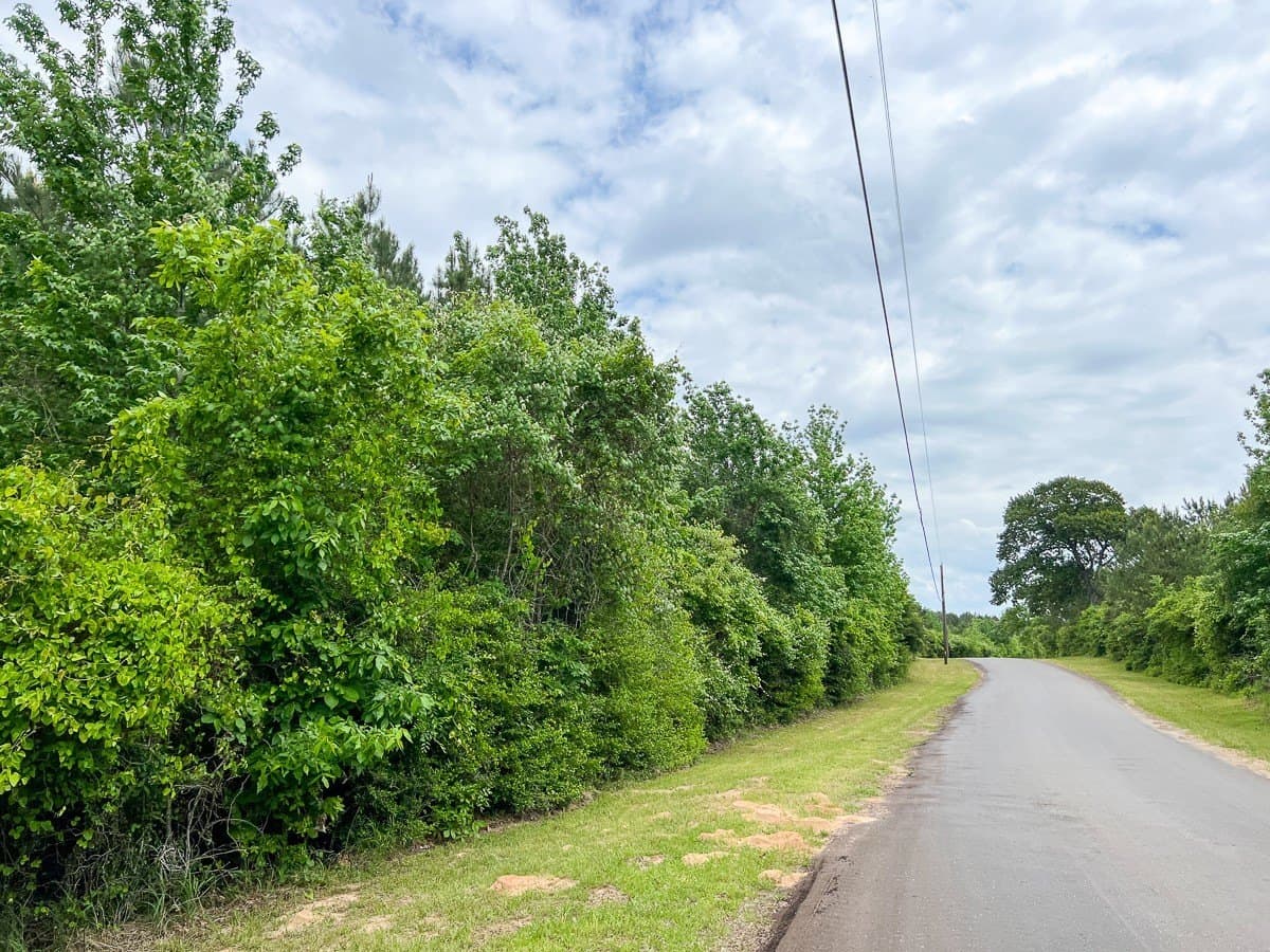 40 acres in Houston County - photo 6