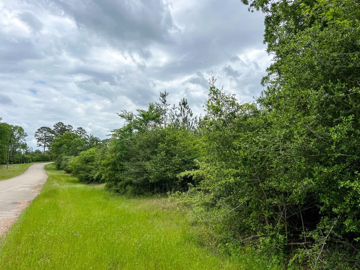 40 acres in Houston County gallery image 3