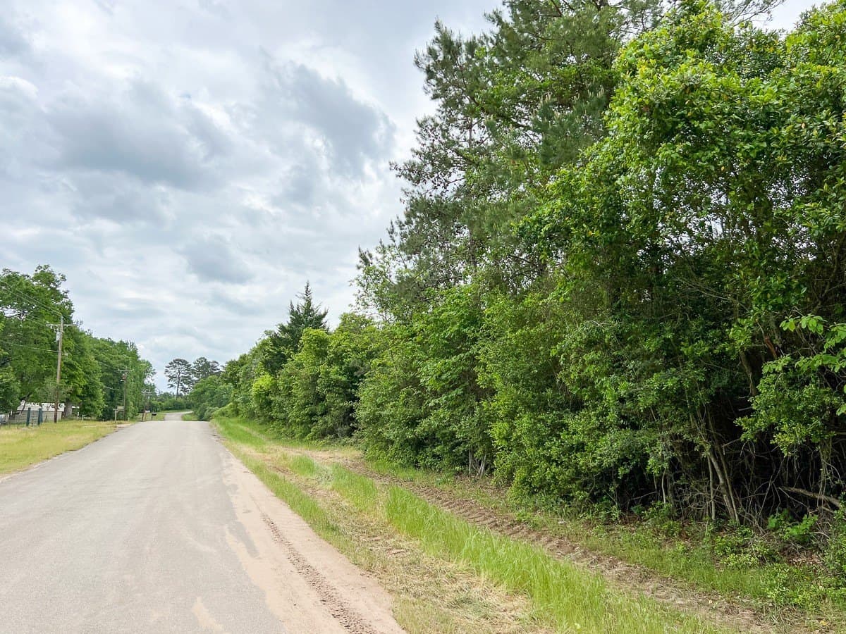 40 acres in Houston County featured view