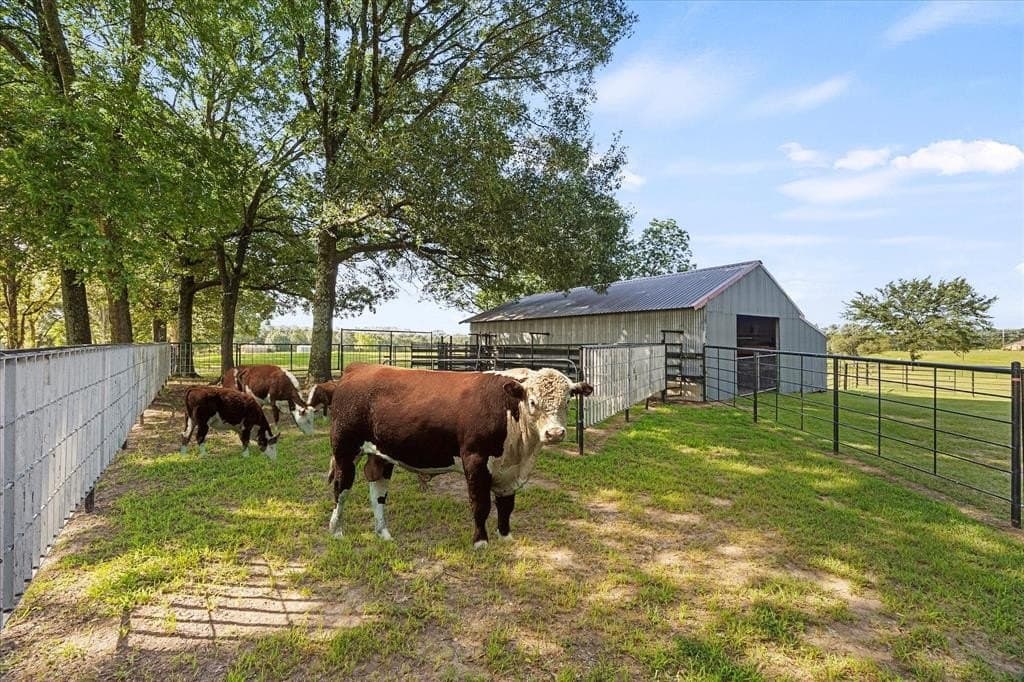43.26 acres in Van Zandt County gallery image 3