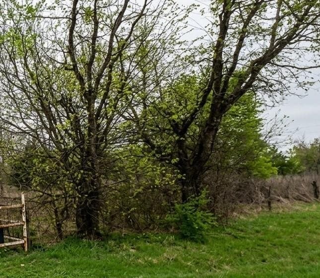 10 acres in Denton County gallery image 4