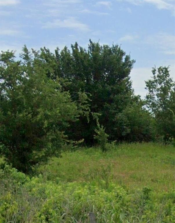 10 acres in Denton County gallery image 2