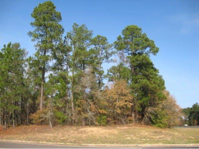 2.5 acres in Texas County