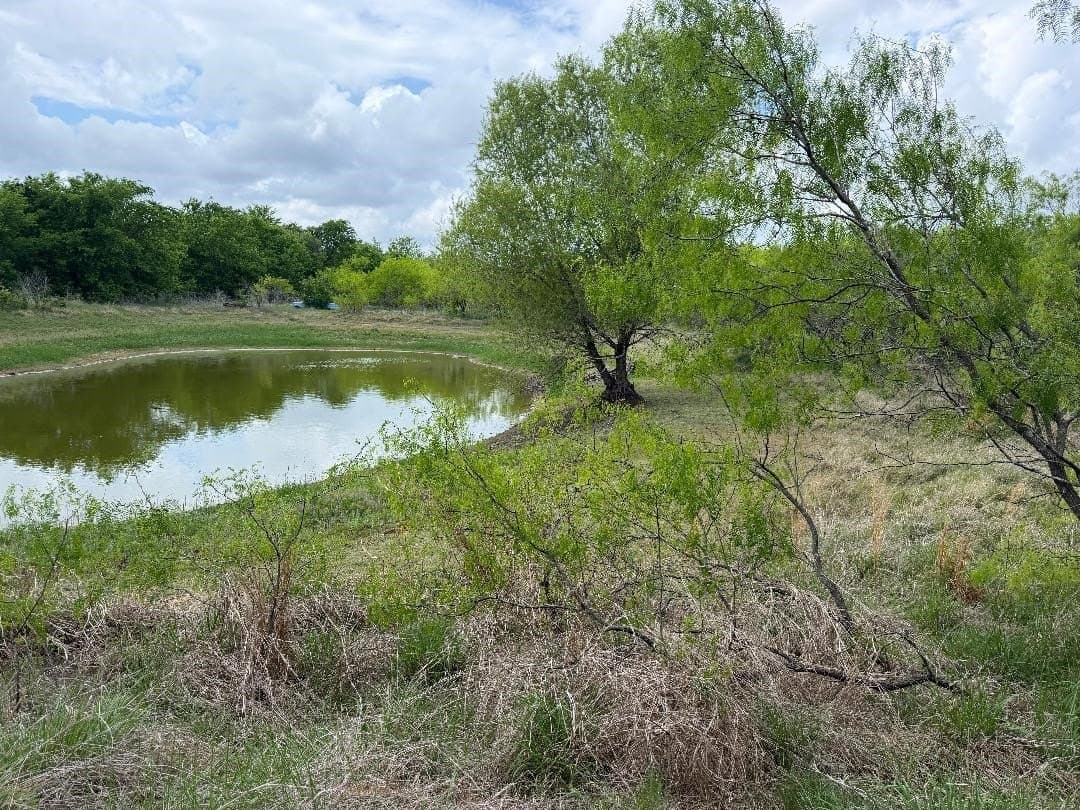 24.53 acres in Hill County - photo 6