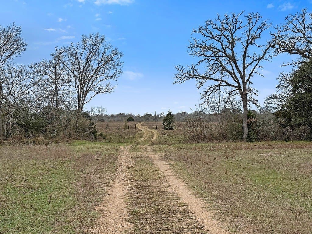 49.08 acres in Fayette County gallery image 2