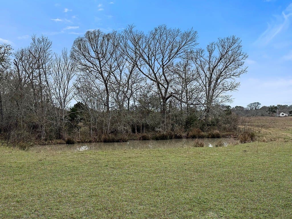 49.08 acres in Fayette County featured view