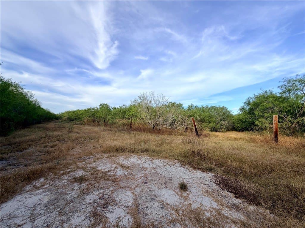 100,000 acres in Nueces County - photo 29