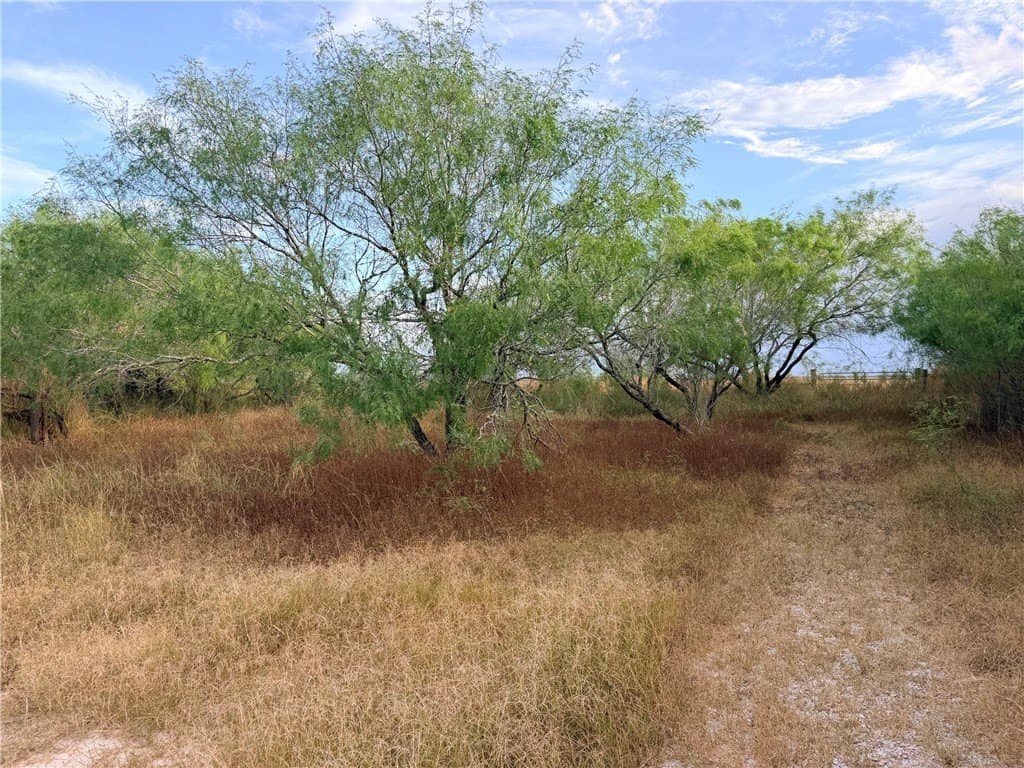 100,000 acres in Nueces County - photo 28