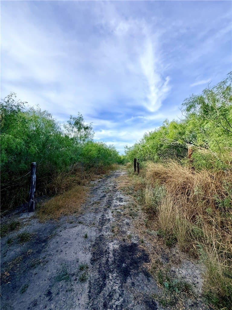 100,000 acres in Nueces County - photo 26
