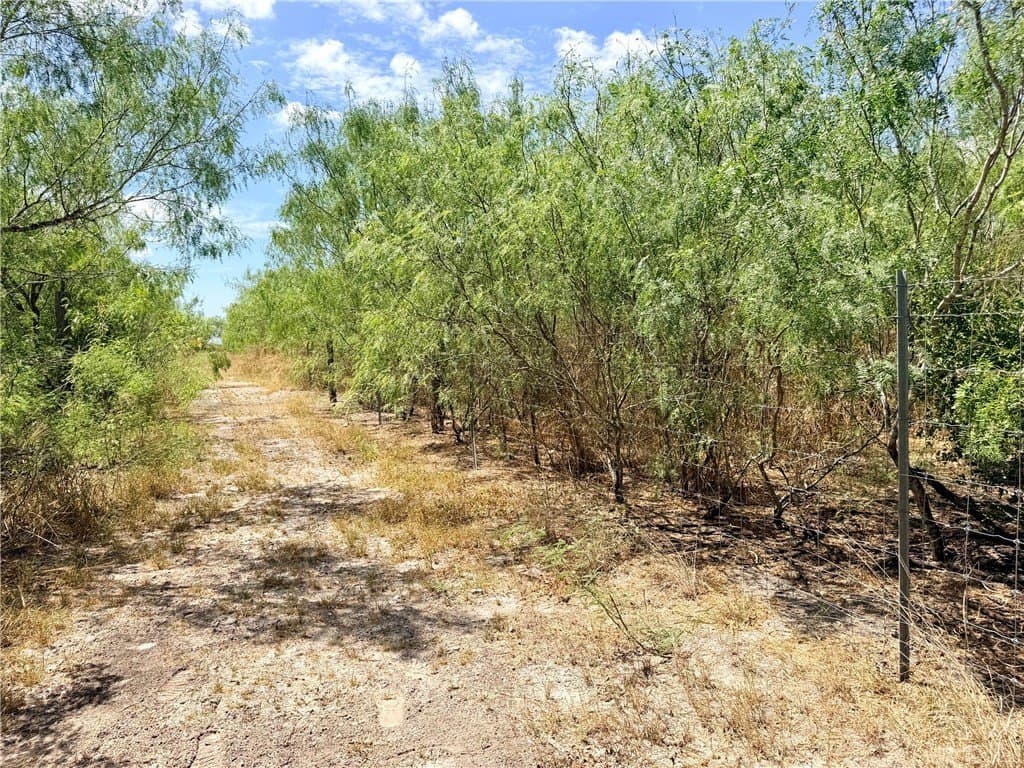 100,000 acres in Nueces County - photo 27