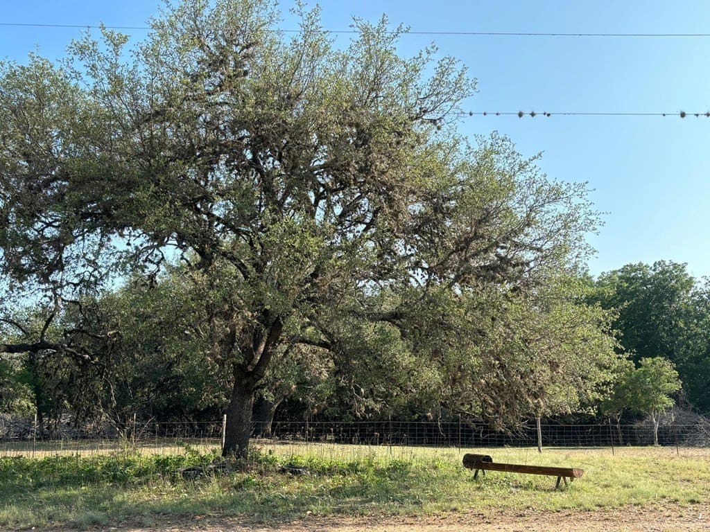 130 acres in Edwards County gallery image 2