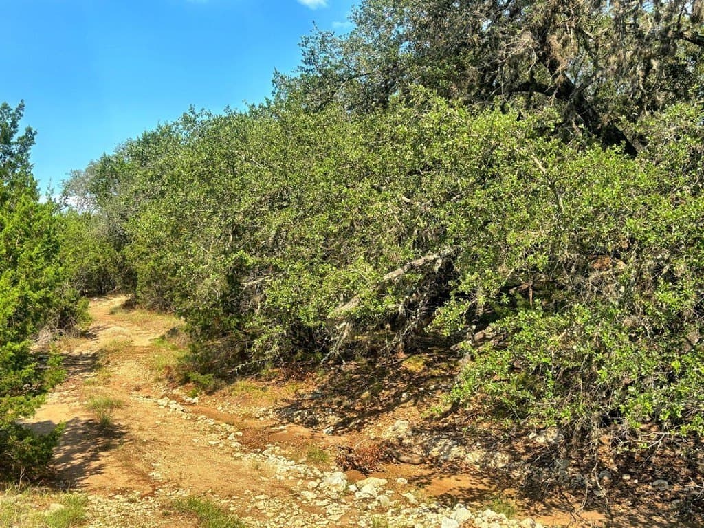 130 acres in Edwards County gallery image 4