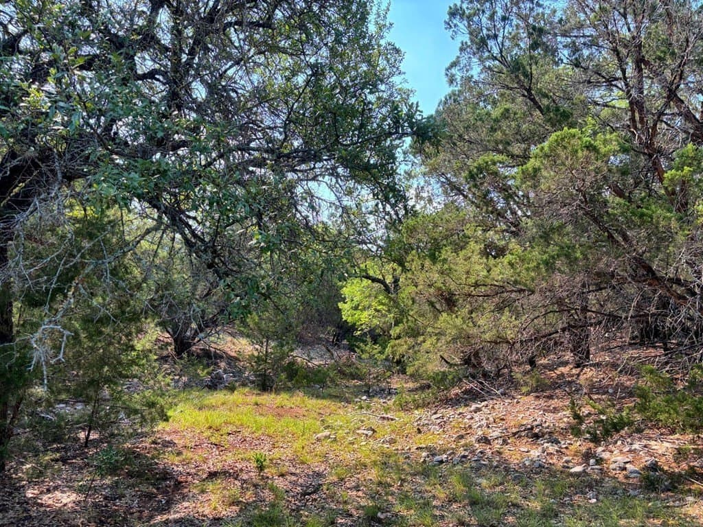 130 acres in Edwards County gallery image 3