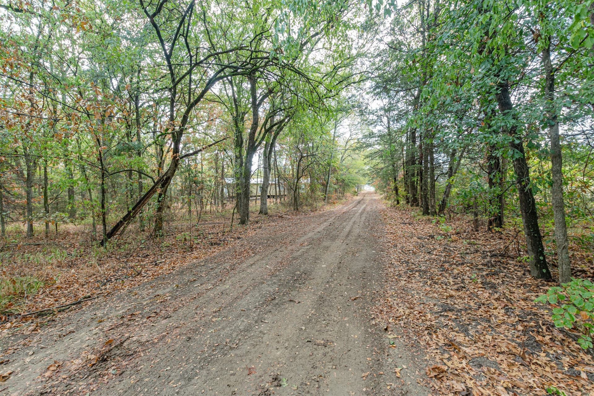69 acres in Hunt County - photo 3